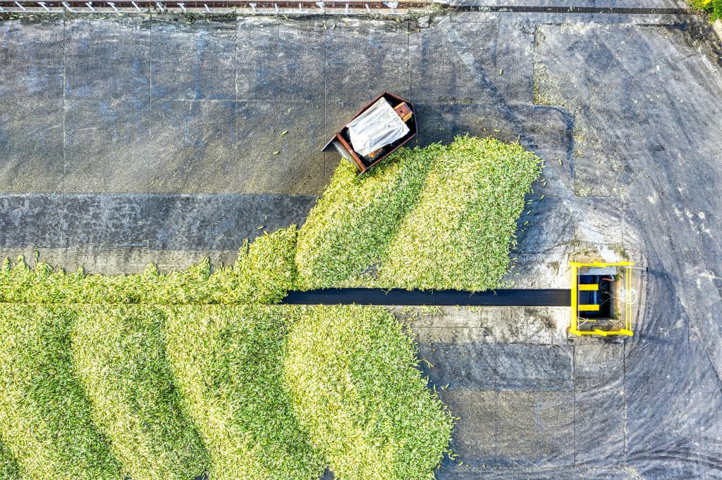 Agri Conveyors